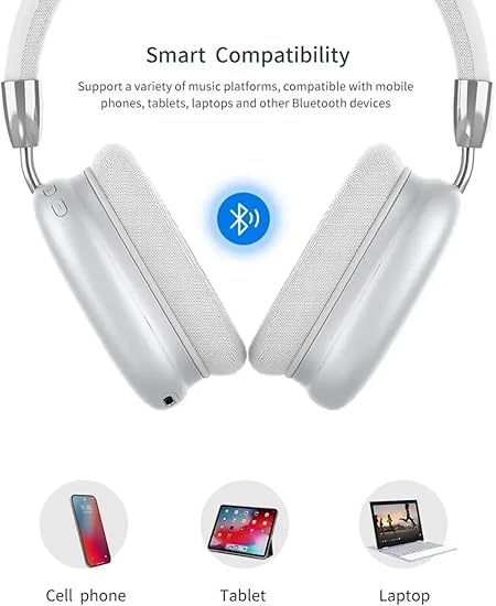 Pro Max P9 Over_Ear Wireless Headphones (Black)