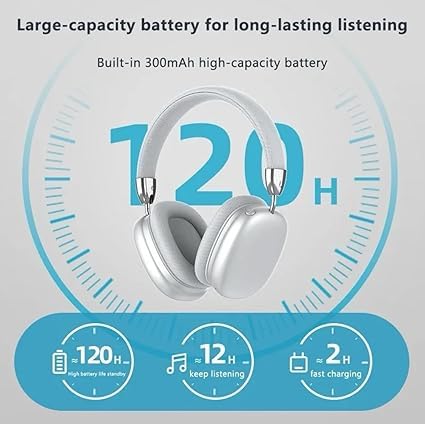 Pro Max P9 Over_Ear Wireless Headphones (Black)